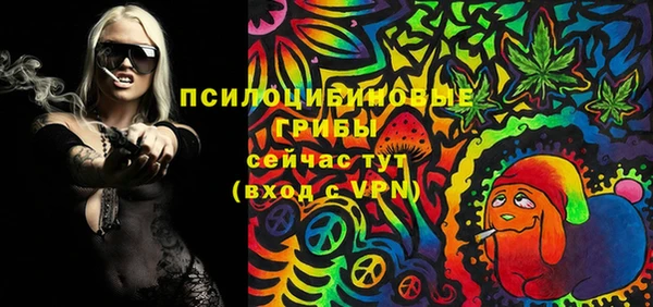 винт Богданович