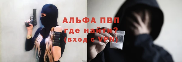 винт Богданович