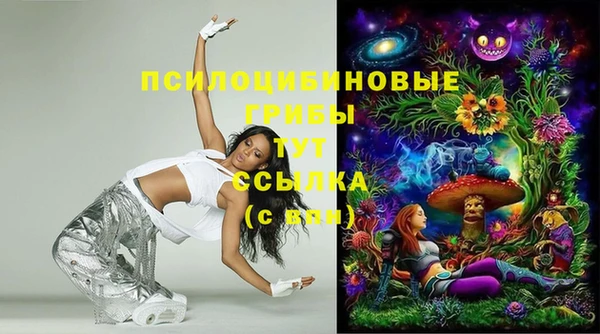 винт Богданович
