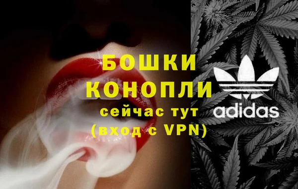 винт Богданович