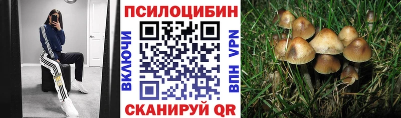 Галлюциногенные грибы Cubensis Электроугли